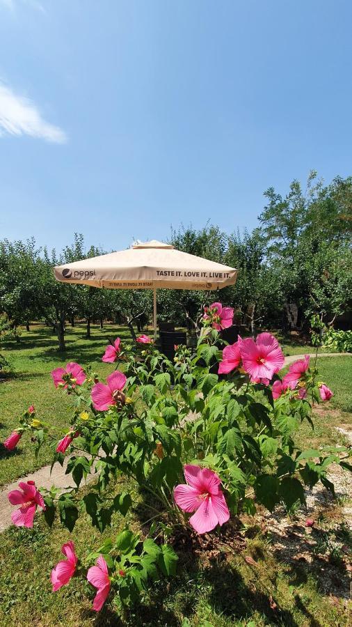 Forest Inn Izvorani Екстериор снимка